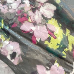 Lane Bryant | Cacique